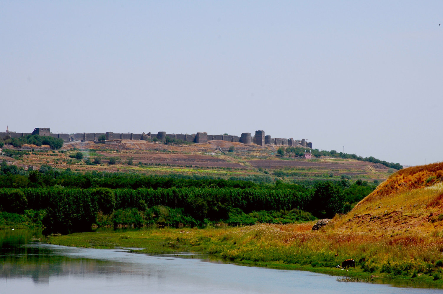 DSC_0942 (2)